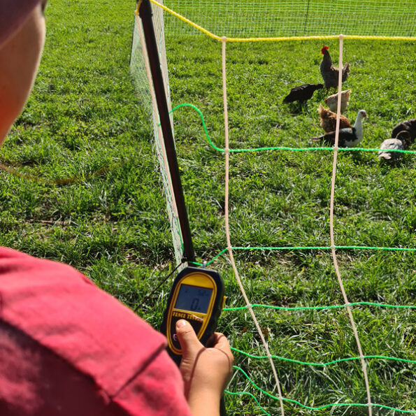 Red Electroplástica para Gallinas - Imagen 3