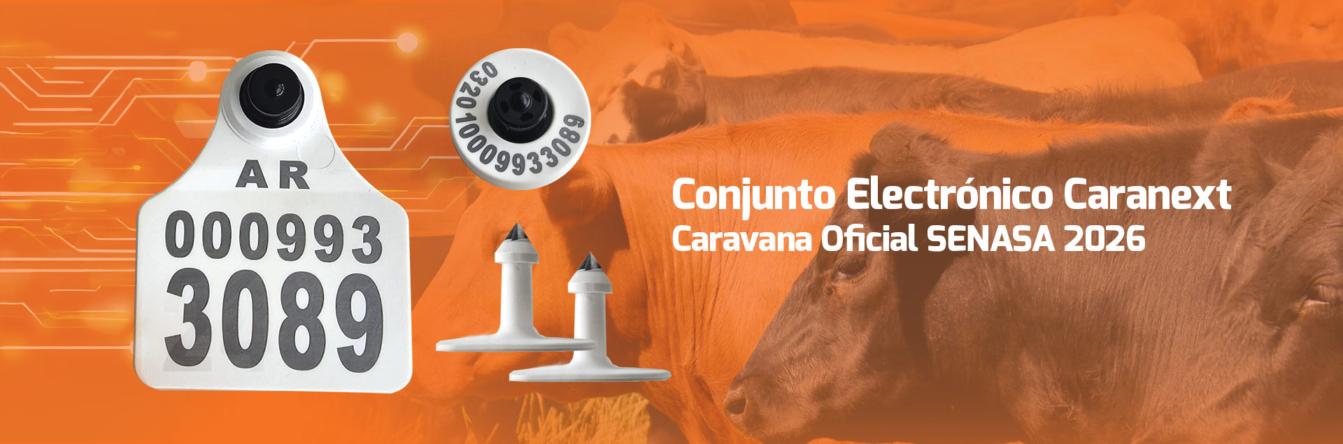 Caravana Electronica Pagano CARANEXT